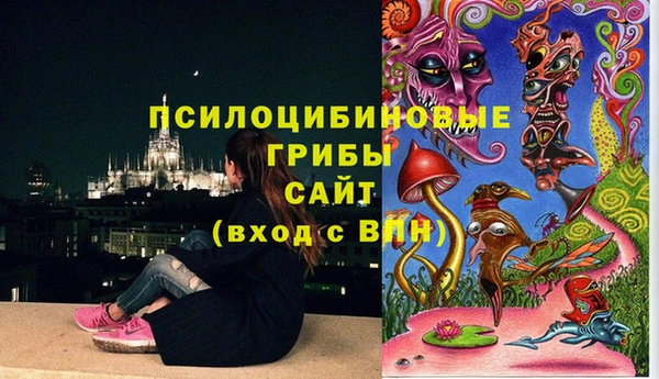 мяу мяу мука Богородицк