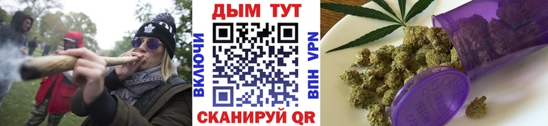 Канабис семена  Морозовск 